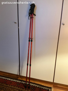 1 Paar Trekkingstöcke