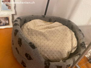 2 Hundebetten