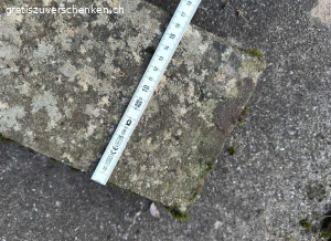 32 Gartenplatten. 32 Gartenplatten abzuholen in 3474 Rüedisbach.
Ideal bspw. als Gehwege für Gartenbeete.