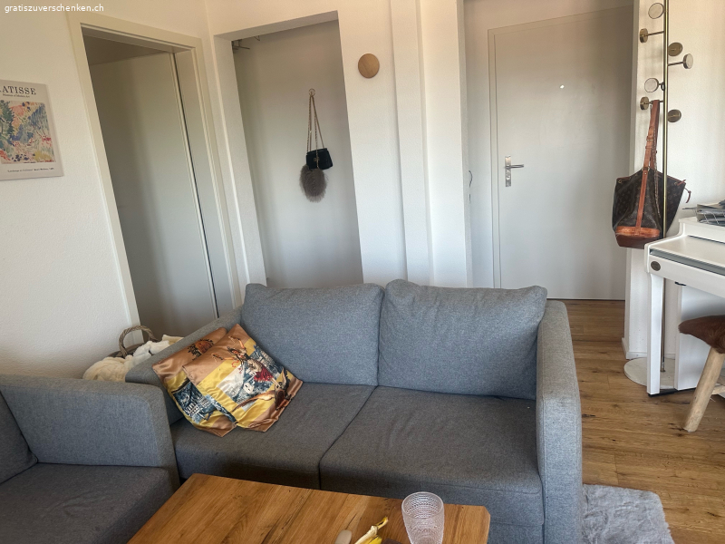 2xZweisitzer Couch in hellgrau