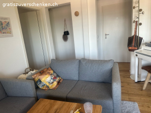 2xZweisitzer Couch in hellgrau