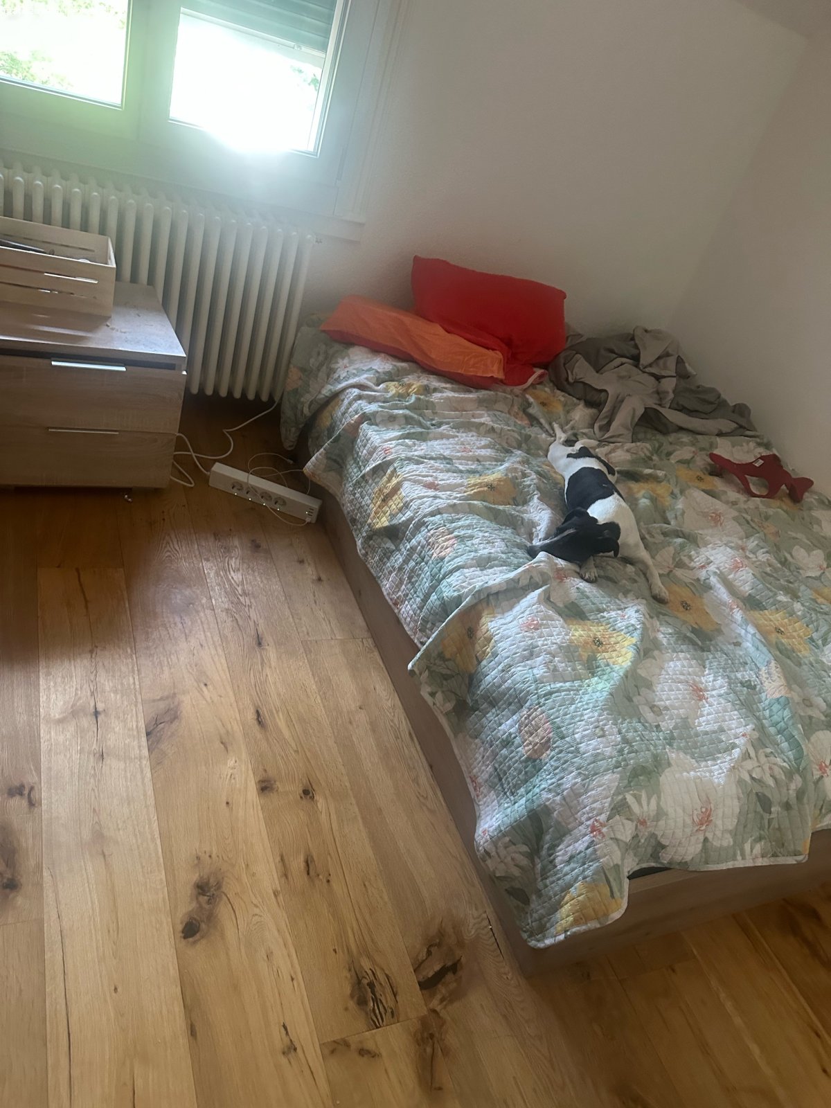 2xZweisitzer Couch in hellgrau. guter Zustand