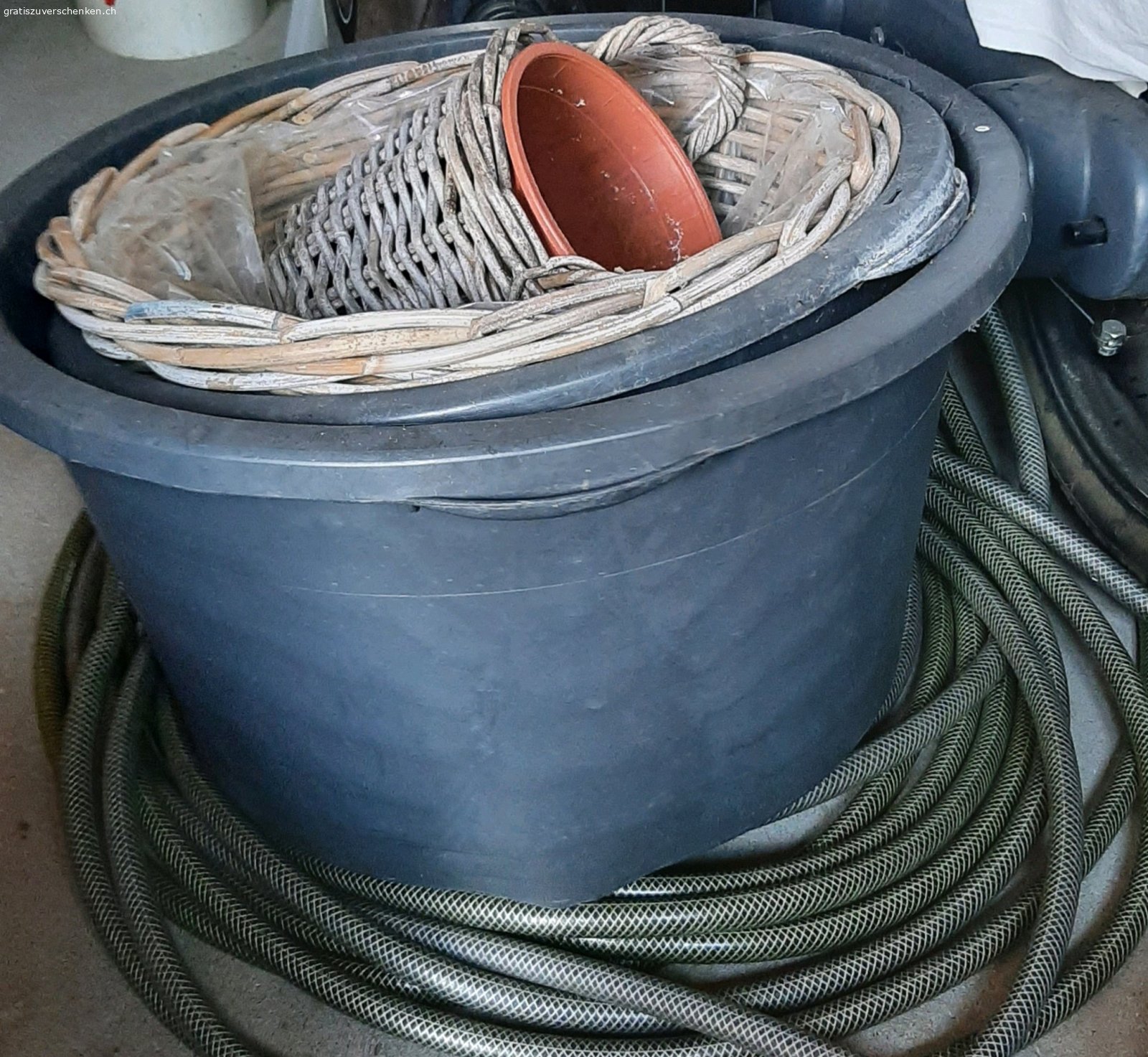 Blumentöpfe. Nur Abholung