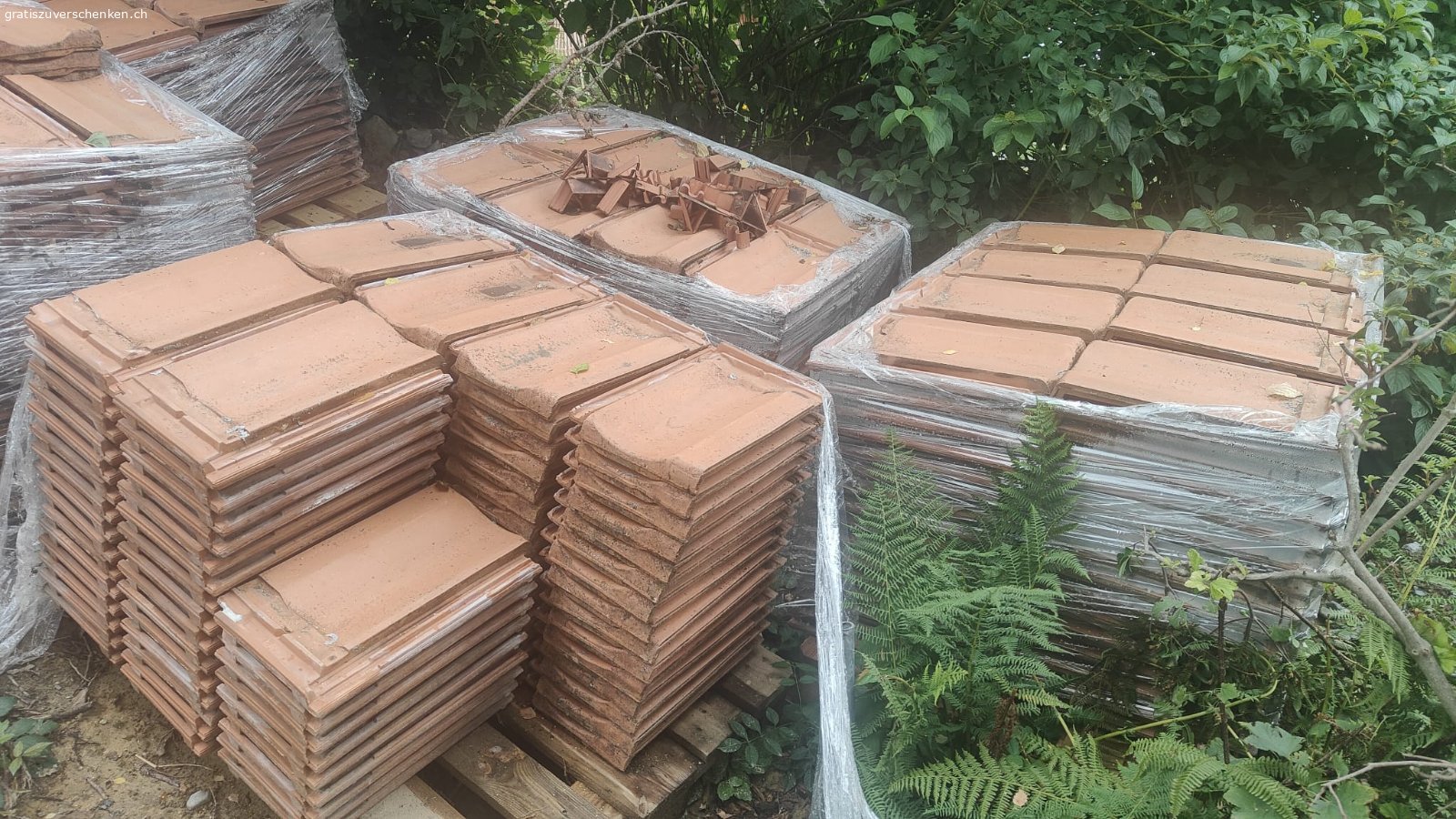 Ca. 1’200 Ton-Dachziegel / rund 80 m² Dacheindeckung. Wir verschenken aufgrund eines Dachumbaus insgesamt 11 Paletten gebrauchte Ton-Dachziegel. Bevorzugt geben wir alle 11 Paletten zusammen ab. Eine Übernahme einer grösseren Teilmenge ist nach Absprache ebenfalls möglich. Nur Abholung. 

Unser Ostdach wird für eine vollflächige Photovoltaikanlage umgebaut, deshalb benötigen wir die bisherigen Ziegel nicht mehr.

Angaben:
ca. 1’200 Dachziegel 
insgesamt 11 Paletten
zuvor auf einer Dachfläche von rund 80 m² verbaut
ca. 40 Jahre alt
naturrote Tonziegel
kostenlos / gratis abzugeben

Die Ziegel wurden sorgfältig abgedeckt und auf Paletten gestapelt. Sie sind in gutem Zustand und können wiederverwendet werden. Vor dem erneuten Verlegen empfiehlt sich eine kurze Reinigung mit einer Bürste.

Die Ziegel sollten möglichst bald abgeholt werden.

Praktisch für die Abholung: In der kommenden Woche ist auf unserer Baustelle ein Kran vor Ort. Nach Absprache besteht ggf. die Möglichkeit beim Verladen zu helfen. 

Bei Interesse bitte möglichst bald melden.
Gruss Michael
