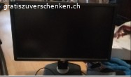 Dell Bildschirm 15.6 Zoll