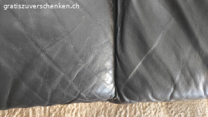 Ecksofa Leder