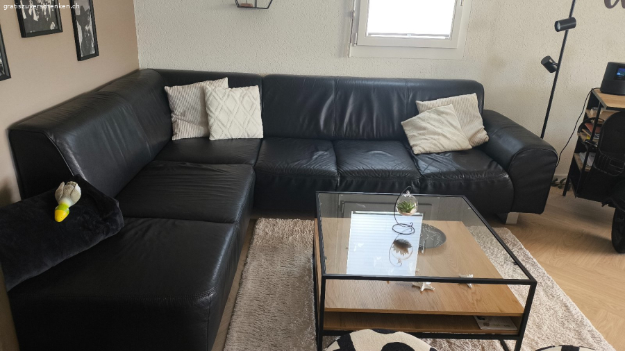 Ecksofa Leder