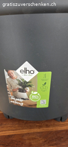 Grosser Blumentopf