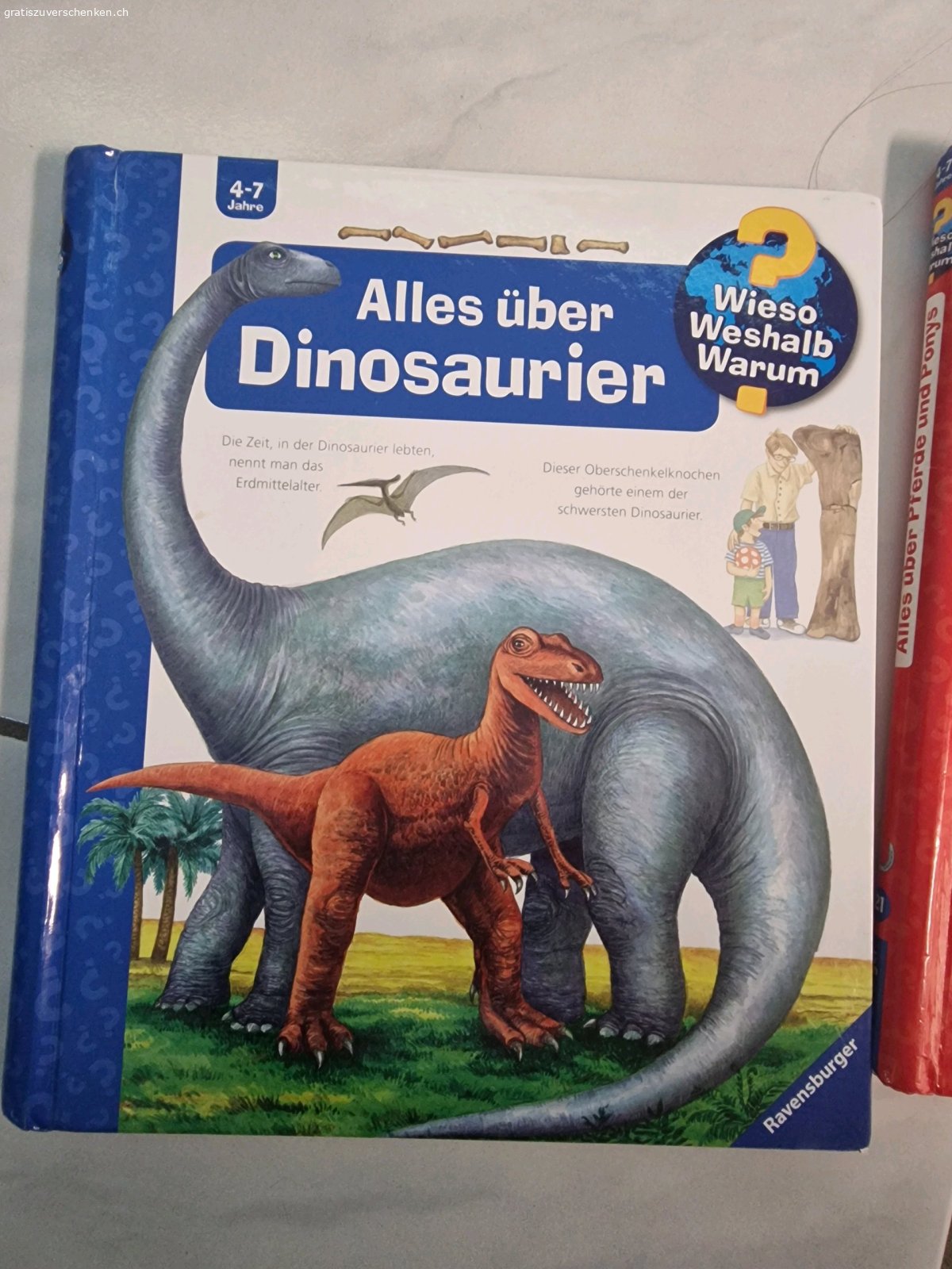 Kinderbücher. Wir verschenken div. Bücher der Kinder, da sie schon zu gross dafür sind :-) Bei interesse melden ( am besten kurzes Mail oder SMS) . Kein Versand. Bei Abholung können die Bücher auch im Briefkasten deponiert werden.