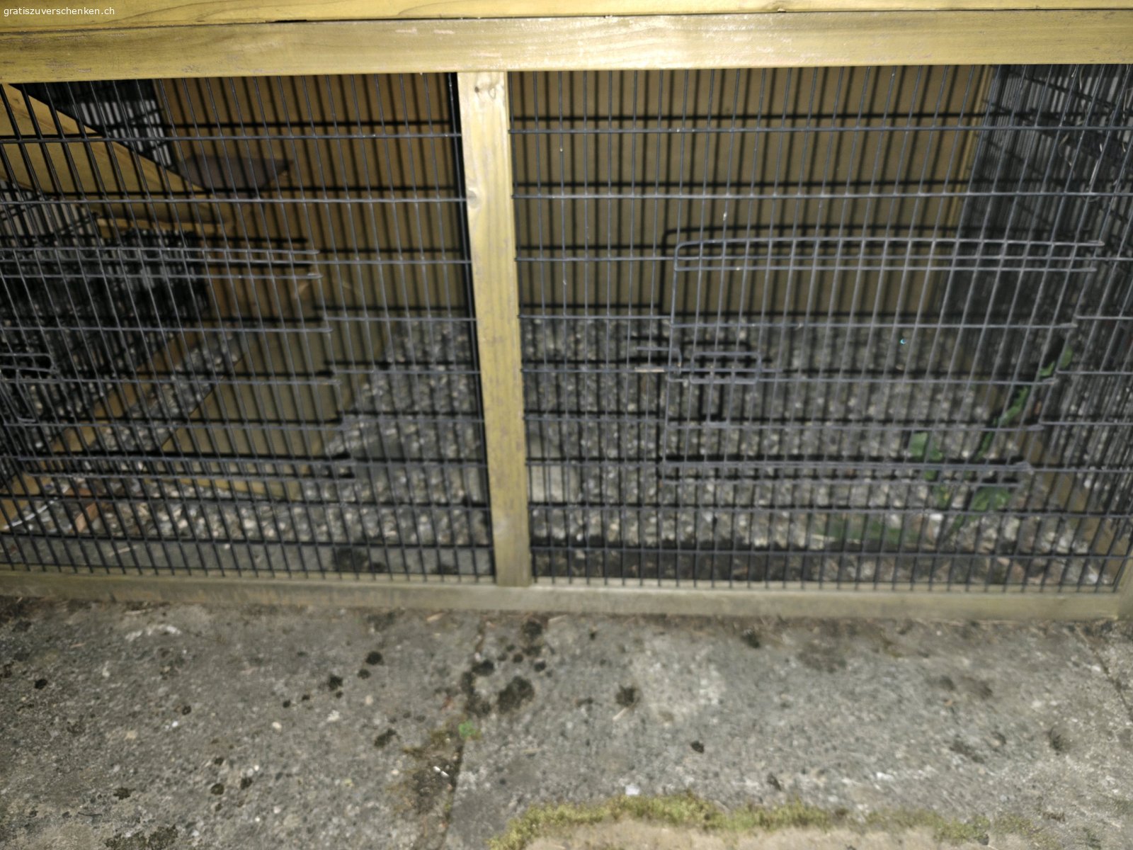 Kleintierstall. Gratis abzugeben. Muss selbst demontiert werden. wurde zuvor als Meerschweinchenstall und anschliessend als Schildkröte Zuhause verwendet.