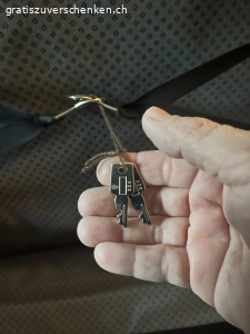 Koffer. Schöner Koffer von York. Koffer hat unten zwei Räder und ei Griff auf der Seite. Masse: Länge 75 cm. Tiefe 19 cm. Breite 76 cm. Zwei Schlüssel sind auch vorhanden. In Dürnten abzuholen.