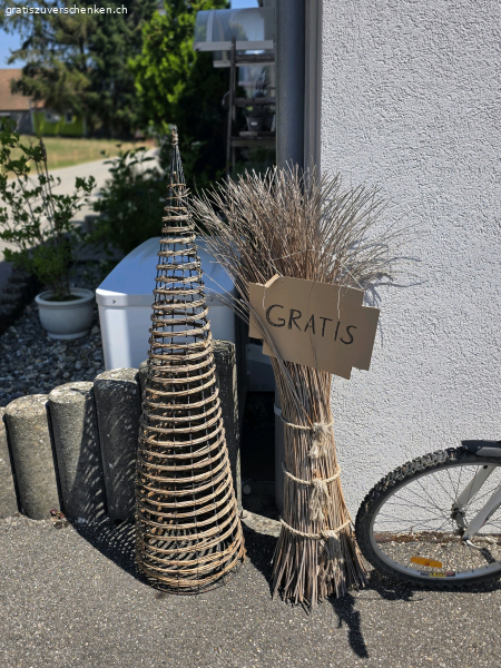 Pflanzenpyramide und Weidebusch