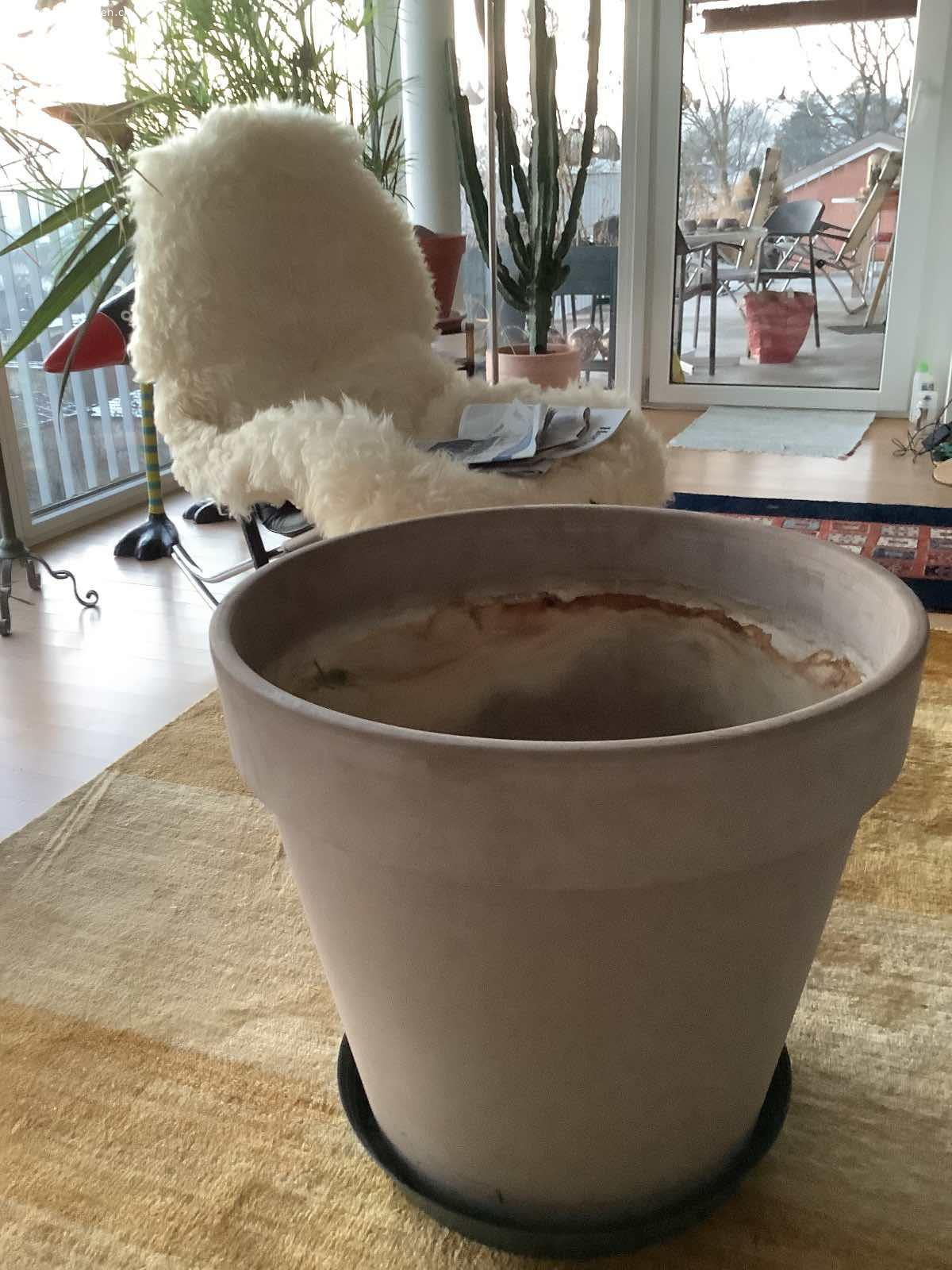 Pflanzkübel Terracotta mit Untersetzer. Durchmesser 60cm
Höhe 57 cm

Muss in Winterthur abgeholt werden.

Bitte melden Sie sich per E - Mail bei Markus Oderbolz