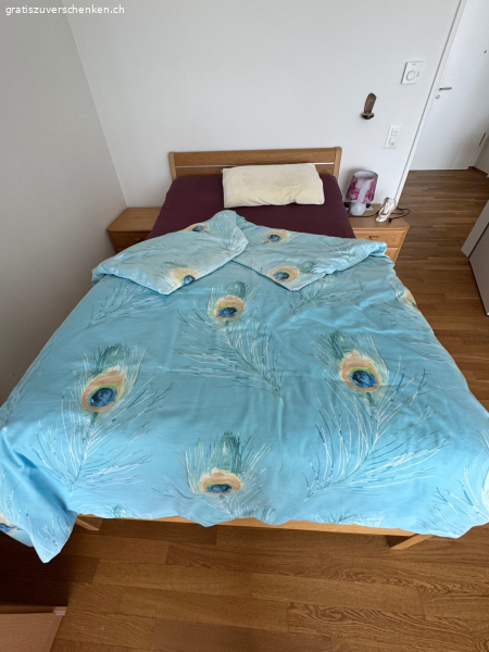 Pflegebett elektrisch, Roviva