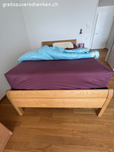 Pflegebett elektrisch, Roviva