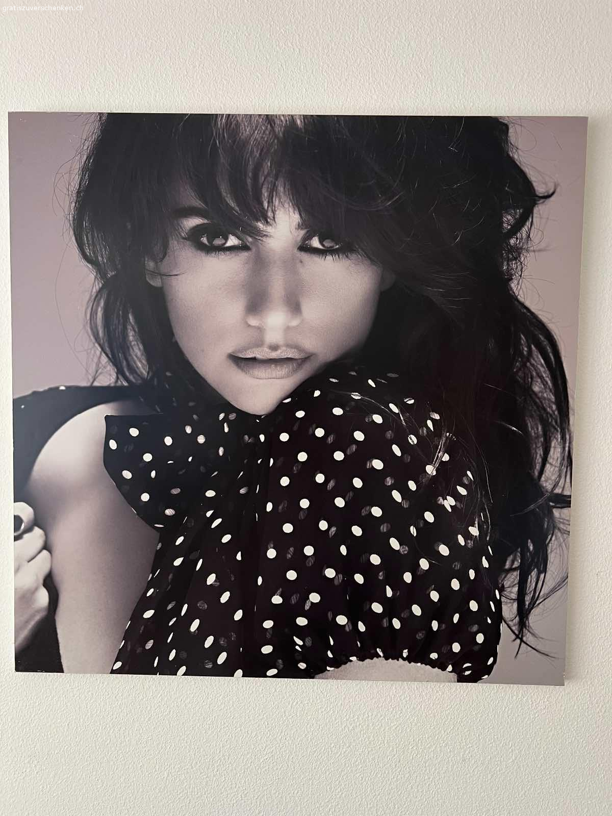 Plakat Bild, Penelope Cruz. Wegen Umzug, Gratis!
Zum schenken 
Penelope Cruz Bild ( Schwarz- Weiss)
Gr.
1 m. zu 1m
Bei Interesse bitte melden.