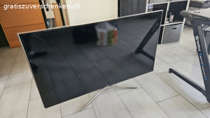 Samsung Fernsehr 55 Zoll FHD