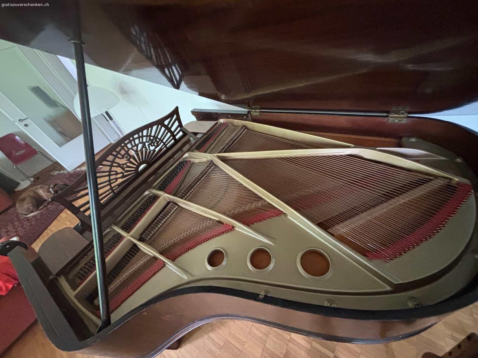 Schoener Gaveau Fluegel zu verschenken. Gaveau Fluegel von1920 in gutem Zustand wegen Umzug zu verschenken