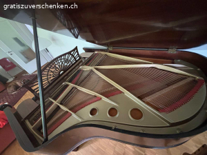 Schoener Gaveau Fluegel zu verschenken. Gaveau Fluegel von1920 in gutem Zustand wegen Umzug zu verschenken