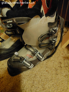 Skischuhe Salomon Männer. Salomon Grösse 27, sollte bei uns ca. Grösse 42 2/3 sein. Dürfen selbstverständlich anprobiert werden.