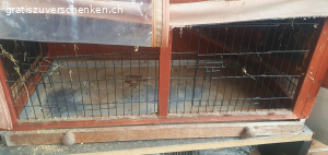 Stall  zu verschenken. stall grob gereinigt