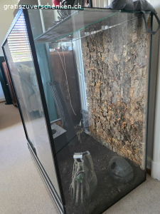 Terarium