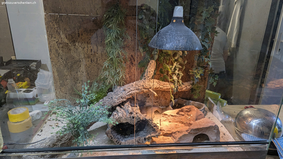 Terrarium