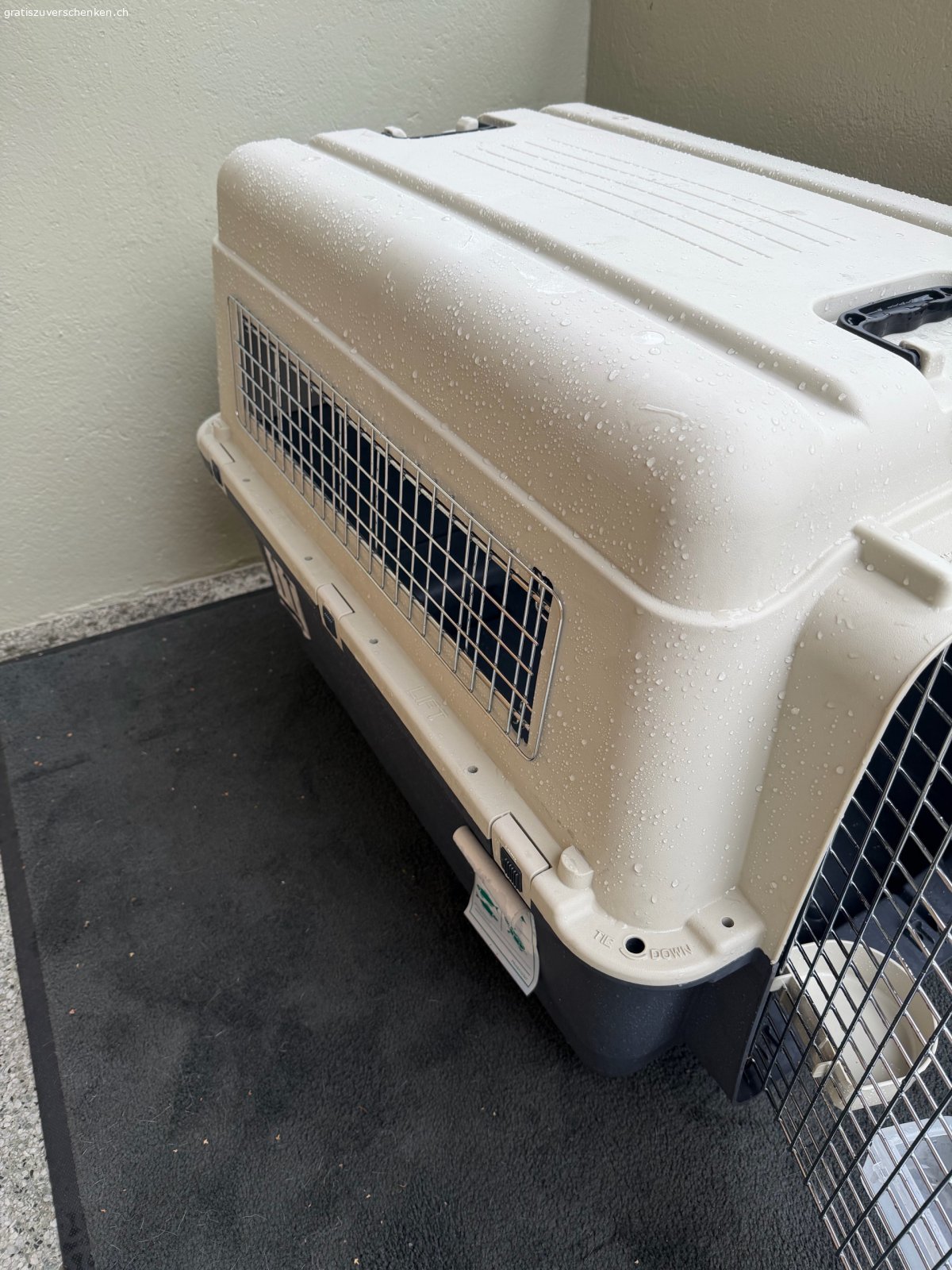 Transport Boxe 90/60/60. Grosse Transport Boxe Flugzeug geeignet 
verschraubt und mit Futter und Trinkgegäss.
einmal gebraucht 
muss abgeholt werden