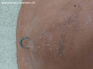 Wand-oder Bodendeko Teller
