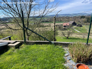 Zaun grün mit  Pfosten. Zaun ist 1 Meter hoch und 25 m2 lang. Hat alle paar Meter ein Pfosten, dass in die Erde gesteckt wird. Es war als Sperre für die Katzen angedacht aber sie buddeln darunter und daher bringt es nichts leider. 
Es ist zusätzlich noch 1 Stück ca 3 m im Karton.